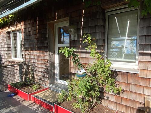 Foto - Ruhige Karnevalstage in der Eifel in Monschau