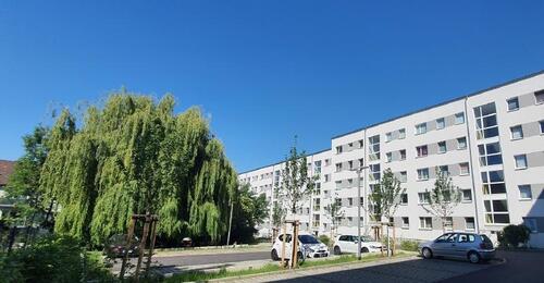 Foto - 2 Zimmer Etagenwohnung in Dresden