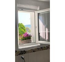 Mini Haus —Sparfuchs—total unabhängig —Pellet - Gemünden