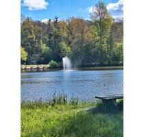 Monteurzimmer,Appartement, Pension,Ferienhaus, Wlan,Küche,See,uvm - Visselhövede