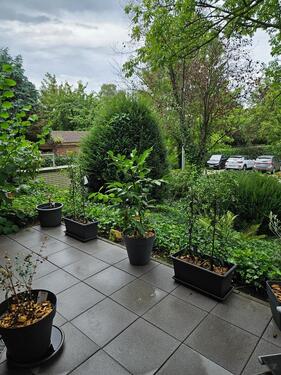 Foto - 2 Zimmer Etagenwohnung zur Miete in Nordhorn