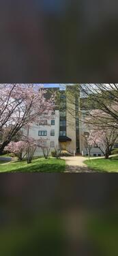 Foto - 4 Zimmer Etagenwohnung zur Miete in Tübingen