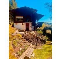 Charmantes Gartenhaus mit Traumgrundstück - Steinbach-Hallenberg