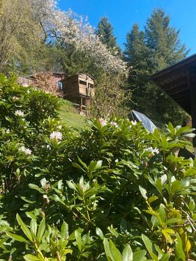 Foto - 3 Zimmer Einfamilienhaus zum Kaufen in Steinbach-Hallenberg