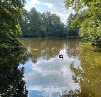 Kapitalanlage oder ihr neues Zuhause! 3ZKB inkl Stellplatz - Osnabrück Fledder