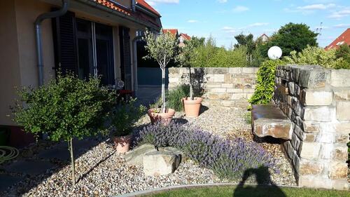 Foto - Einfamilienhaus in Wolfsburg zum Kaufen