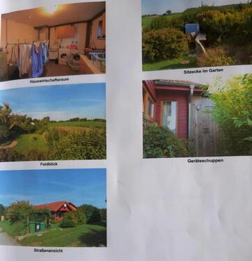 Foto - 3 Zimmer Einfamilienhaus zum Kaufen in Steinfeld