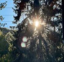 3 ZKB mitten im Grünen - 850,00 EUR Kaltmiete, ca.  124,00 m² in Lahnstein (PLZ: 56112)