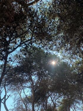 Foto - 1-Zimmer-Wohnung - 350,00 EUR Kaltmiete,