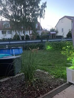 Foto - 5 Zimmer Maisonettenwohnung zum Kaufen in Friedrichsdorf