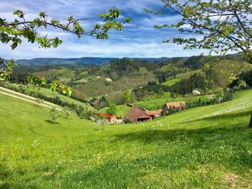 Foto - andere zur Miete in Oberkirch