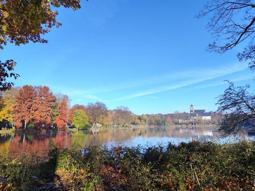 Foto - Etagenwohnung in Chemnitz zur Miete
