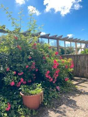 Foto - Ankommen, durchatmen, Sylt genießen