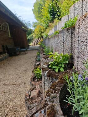 Foto - andere in Schleiden