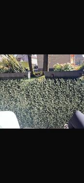 Foto - Erdgeschoss Wohnung - 854,00&nbsp;EUR Kaltmiete, ca.&nbsp; 71,00&nbsp;m&sup2;