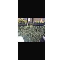 Erdgeschoss Wohnung - 854,00&nbsp;EUR Kaltmiete, ca.&nbsp; 71,00&nbsp;m&sup2; in Munster (PLZ: 29633)