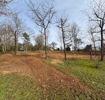 Gartenidylle in Würzburg – 2.000 m² Grundstück zur Pacht