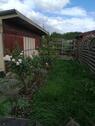 Foto - Kleingarten im KGV Köttewitz e.V. zu verpachten