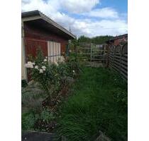 Kleingarten im KGV Köttewitz e.V. zu verpachten - Pirna