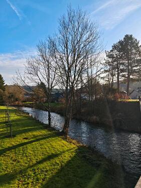 Foto - Ferienhaus Wintergarten- Schleiden- 8 Pers. & 2 Hunde
