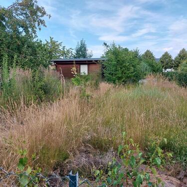 Foto - Garten ohne Anbaupflicht - 1.500,00 EUR Kaltmiete, ca.  0,00 m²