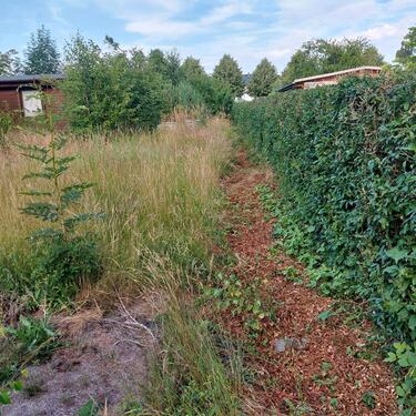 Foto - Grundstück in Rochlitz zur Miete