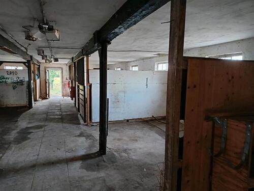 Foto - andere in Osnabrück zur Miete