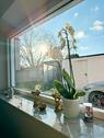 Foto - 6 Zimmer Reihenhaus in Königsbrunn