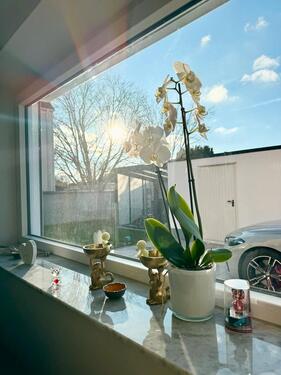 Foto - 6 Zimmer Reihenhaus in Königsbrunn