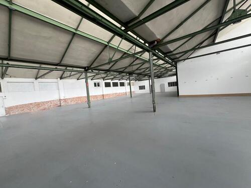 Foto - andere in Dresden