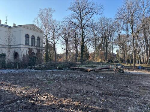 Foto - Grundst&uuml;ck in Glauchau