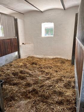 Foto - Einfamilienhaus in Salzwedel zum Kaufen