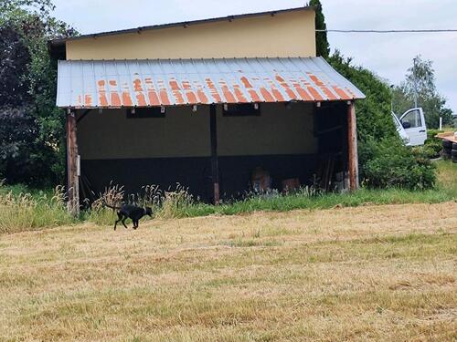 Foto - Einfamilienhaus in Kelberg