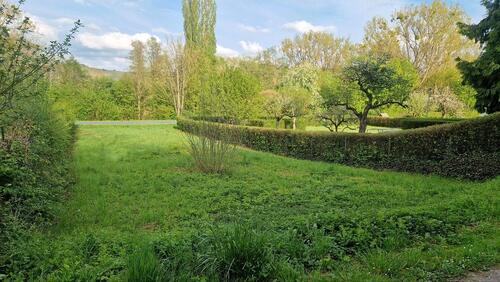 Foto - Grundst&uuml;ck zur Miete in Zellingen
