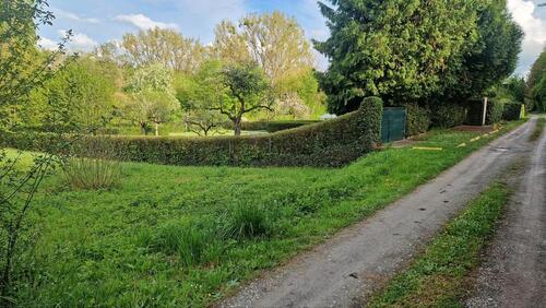 Foto - Grundst&uuml;ck in Zellingen zur Miete