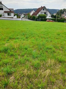 Foto - Grundst&uuml;ck zur Miete in Berching