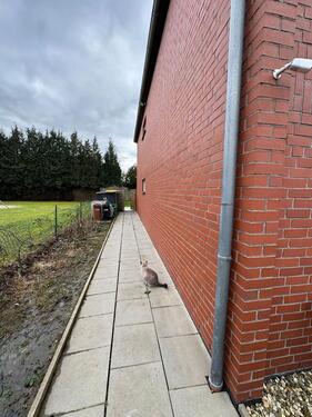 Foto - Etagenwohnung in Lemwerder zur Miete