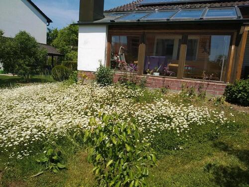Foto - Einfamilienhaus in Großmehring