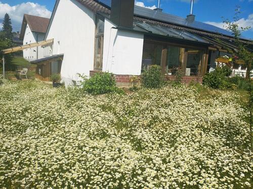 Foto - Einfamilienhaus in Großmehring zum Kaufen