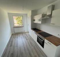 Moderne 2 Zimmer Wohnung mit Balkon - frisch renoviert! - Frankenthal (Pfalz)
