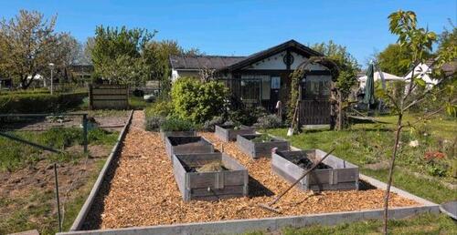 Foto - Kleingarten Parzelle abzugeben - absofort