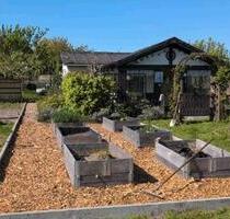 Kleingarten Parzelle abzugeben - absofort - Braunschweig Östliches Ringgebiet