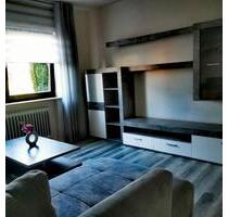 Moderne mobilierte Wohnung, 2 Zimmer, Küche, Bad und Abstellplatz - Aglasterhausen