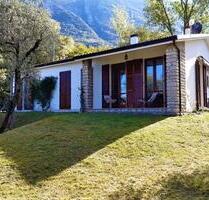 Freistehendes Ferienhaus Casa Colombina in einem 2500 qm großen Olivenhain in Malcesine am Gardasee - München Nymphenburg