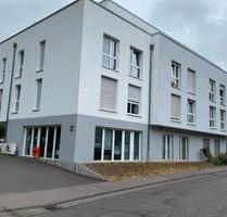 Sehr schönes, modernes Appartement, in Trier- Olewig - Ralingen