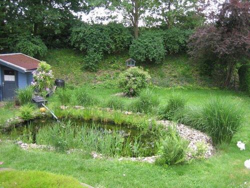 Foto - 