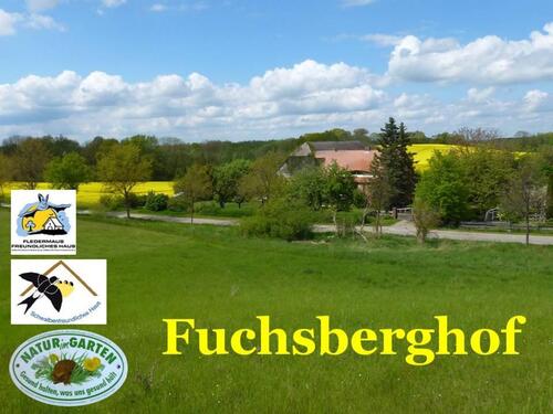 Foto - Ferienwohnung am Müritz Nationalpark auch Angelurlaub möglich