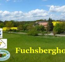 Ferienwohnung am Müritz Nationalpark auch Angelurlaub möglich - Möllenhagen