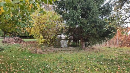 Foto - 7 Zimmer Einfamilienhaus in Langenleuba-Niederhain