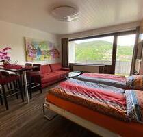 HARZ helles APARTMENT möbliert KÜCHE in BAD GRUND SORGENFREI - Bad Grund (Harz)